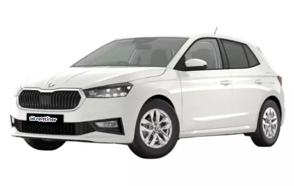 imagen Skoda Fabia 1.0 MPI Selection-42